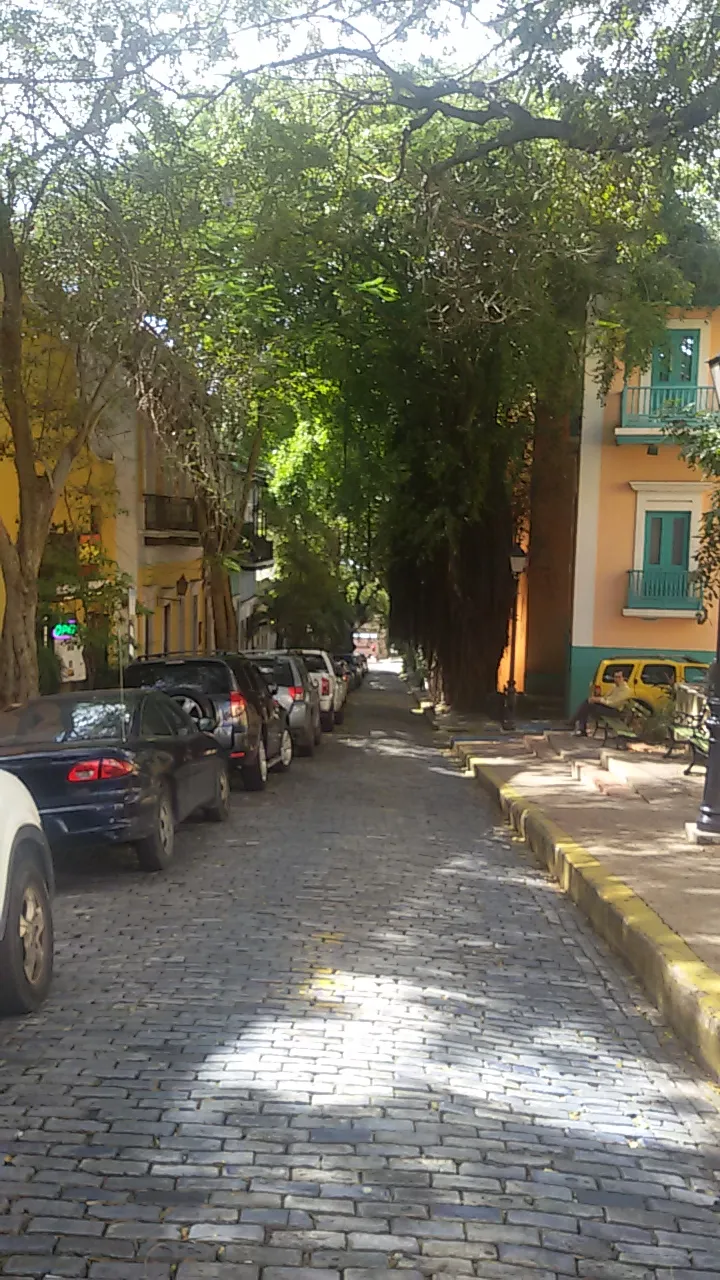 Viel Grün, auch im Dezember