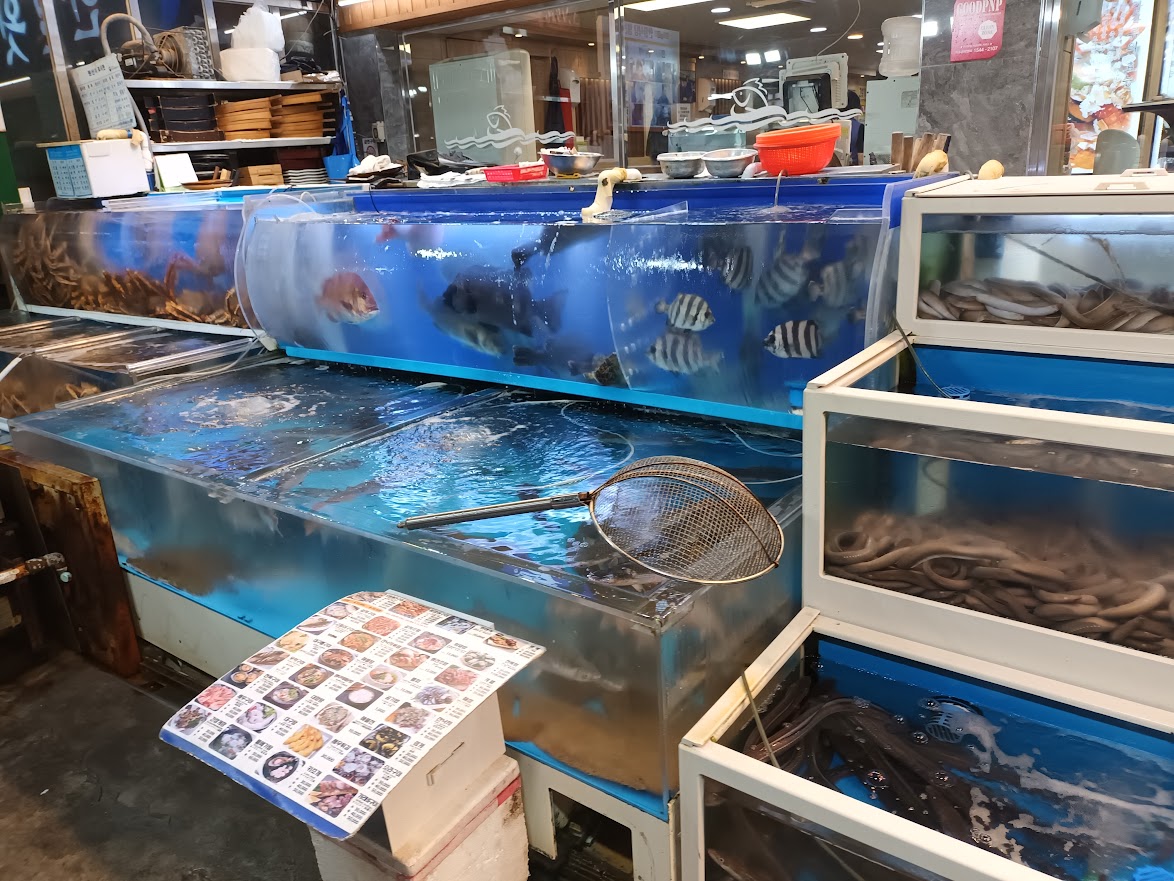 Allerlei lebendige Meeresbewohner werden hier zum Verzehr angeboten